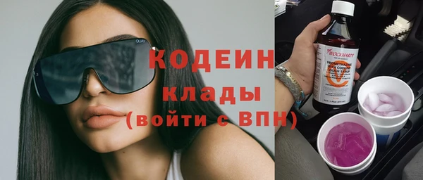 шишки Верхний Тагил