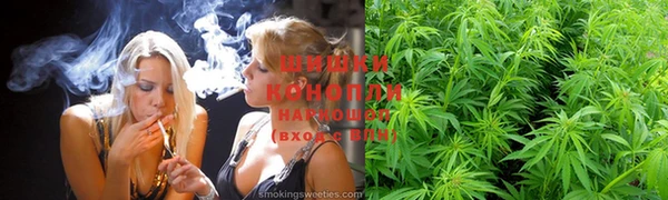 мдпв Бугульма
