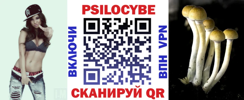 Галлюциногенные грибы Psilocybine cubensis  Купить  Нефтекумск 